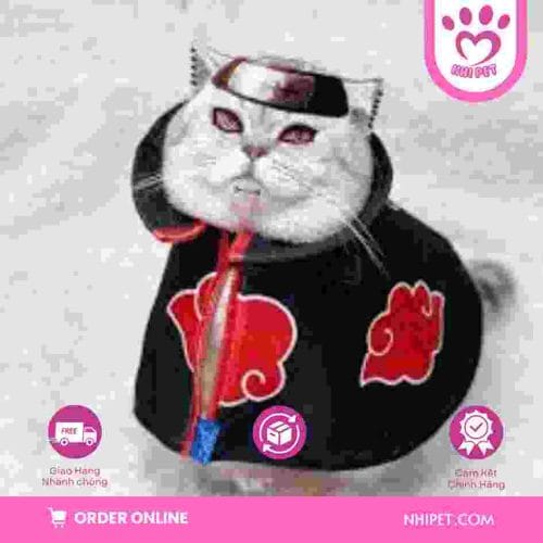 quần áo cosplay cho mèo