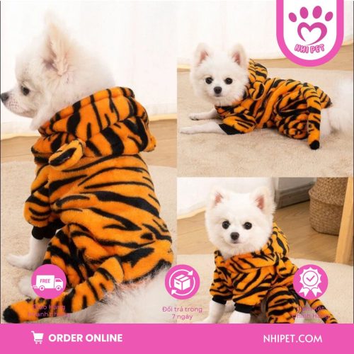 Mẫu áo khủng long cho mèo cute đáng yêu