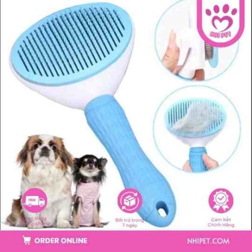 lược chải lông cho chó
