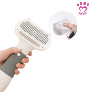 Máy Sấy Lông Chó Loại Nào Tốt