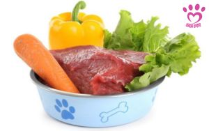 làm pate cho mèo